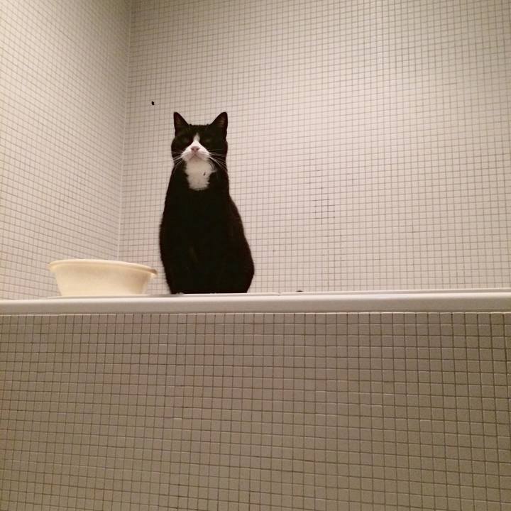 102add5e d183 4354 95c6 b685284f8c5e