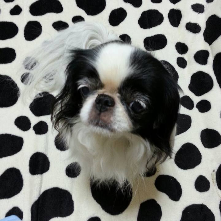 102ba630 ed6b 4566 b21c e3c93570546b