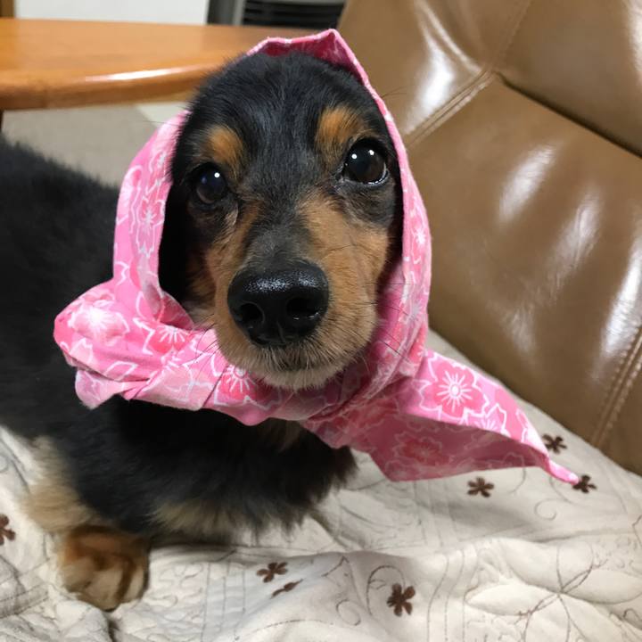 102d1eca c024 48ba 840a 22816331c44d