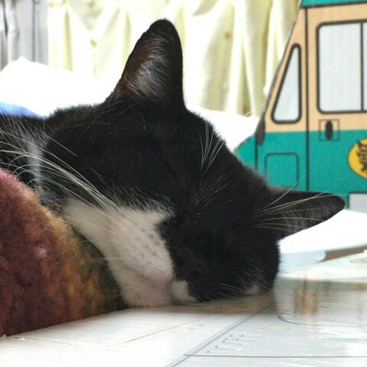 102d67dd 8e71 4e27 bcdd 2a3bd80f5534