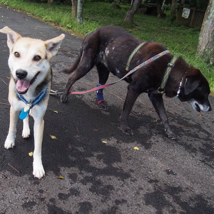 102d8828 5cf1 4671 b595 fd0d785d8051