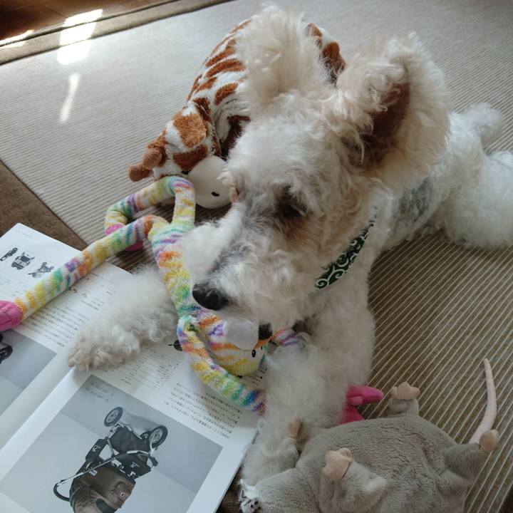 102dcea2 2cae 4ddd b032 be6b794f379c