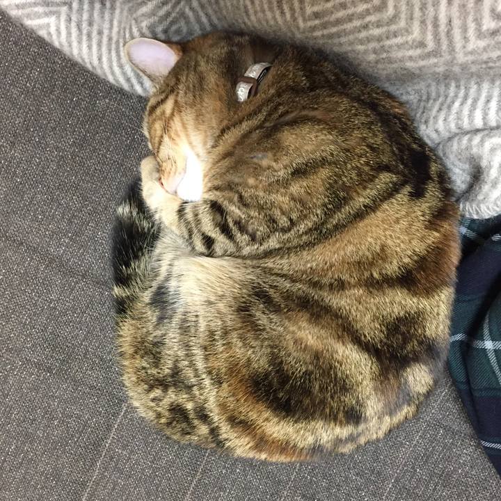 102ddc61 3964 41aa 98ff 94c2643f8b3b