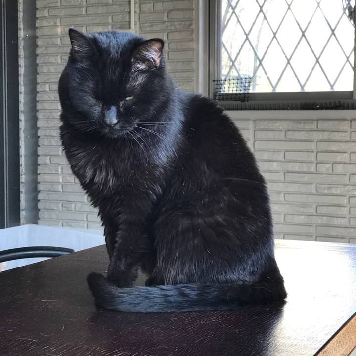 102f9464 c394 42a6 863c 0107ebf80611