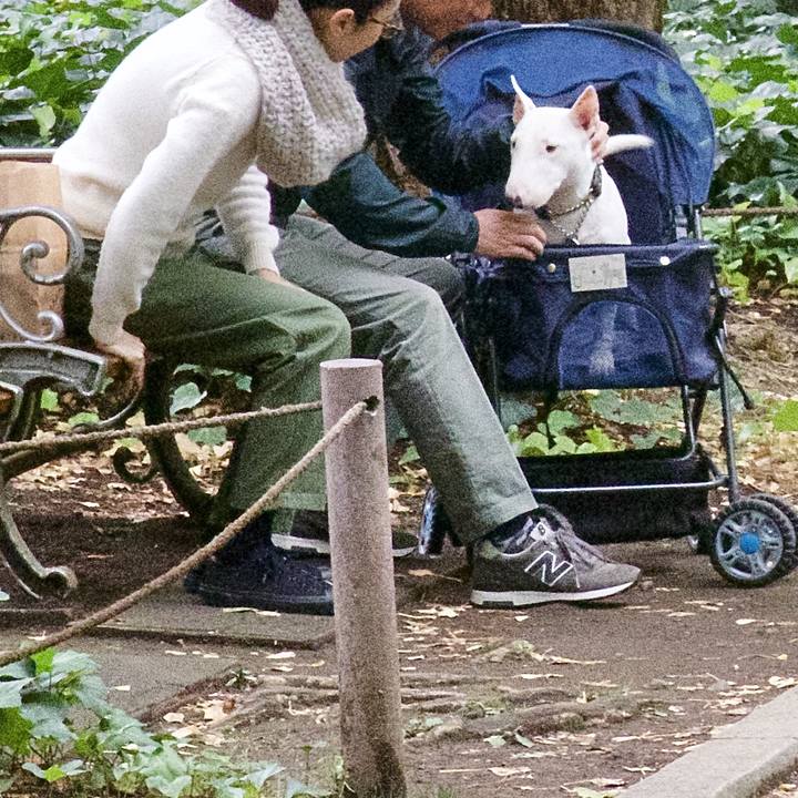 102fcf42 ed86 4161 b8d8 c93c944fdc80