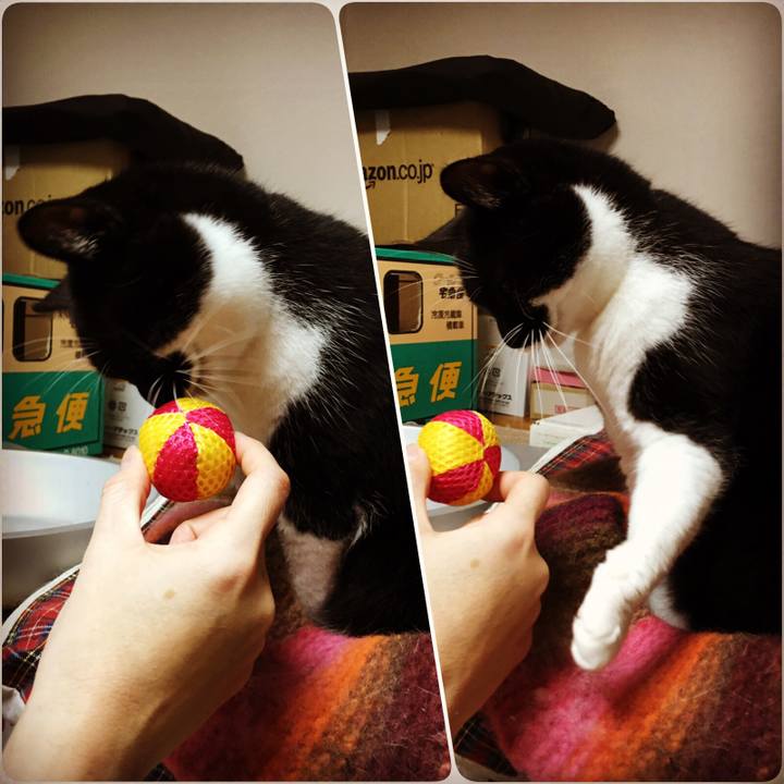 102ff677 222f 46b3 93af 8b790bf9a073