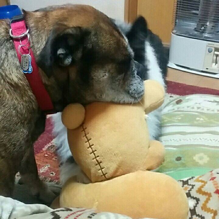 10316cfc d58f 44f3 8318 a3f35ca26efa