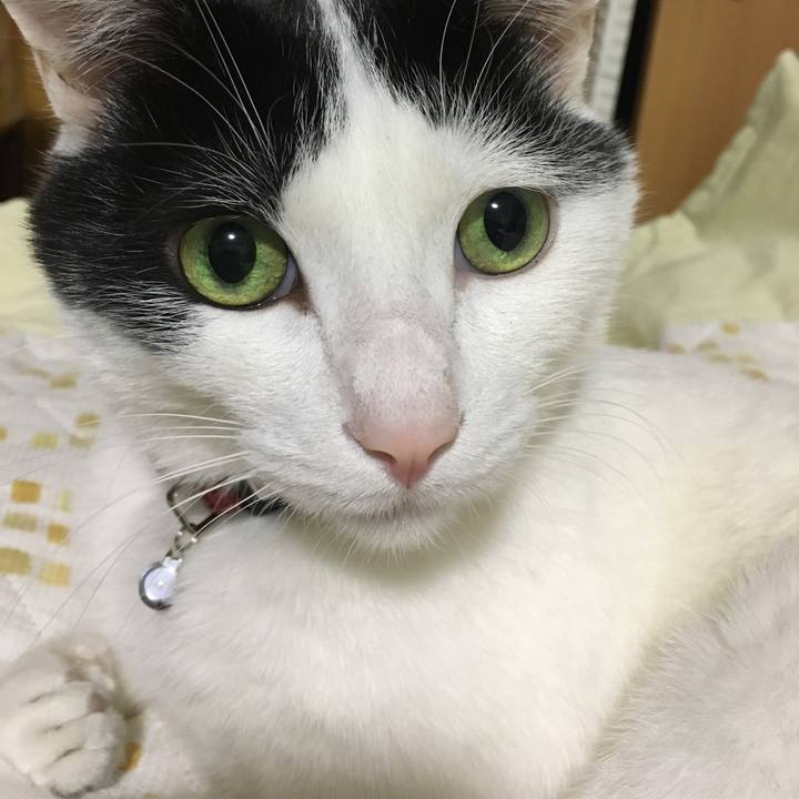 10328904 2fa4 45d3 b77d 3d4e86cb6862