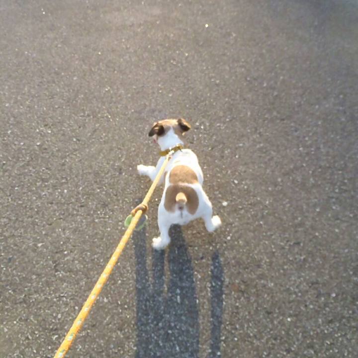 1033b4be 566a 4fdb 9677 2f65b33a39dc