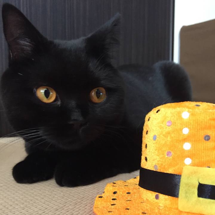 1033e27c 9603 40a7 a19b 982acfe36c27