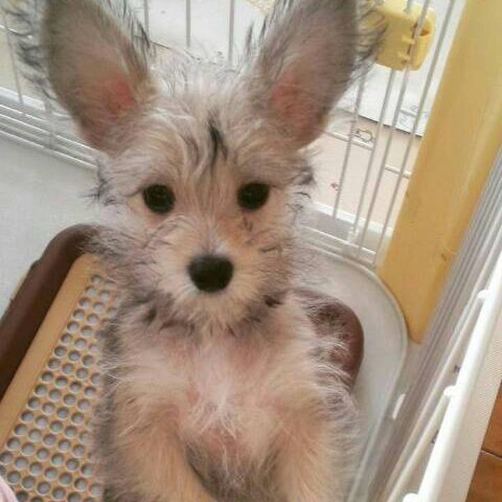 1034dde2 f28c 49c8 8458 85211fd9e9b5