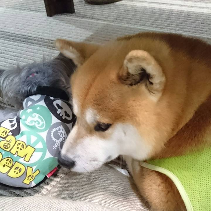 10353376 1b88 487d 85f2 2617050a23fd