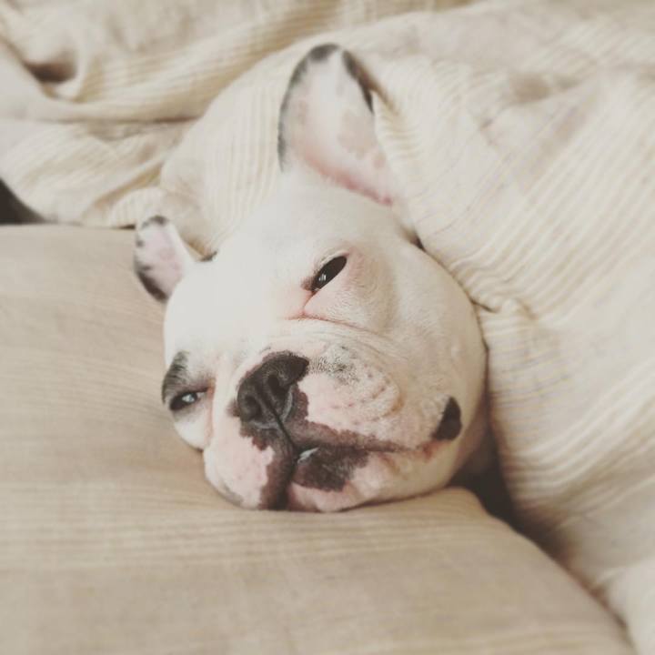 103545b9 9611 4f4e b378 7ac3f74a4ade