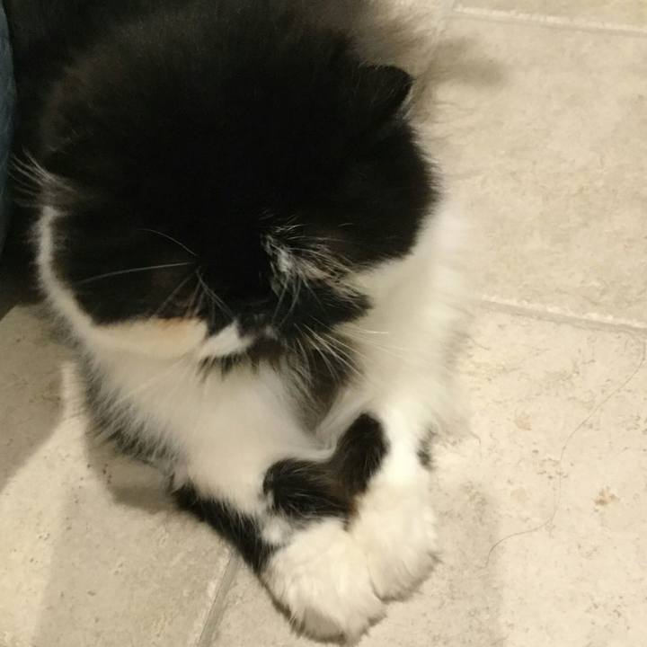 1035a170 f0f9 47cd ab39 dd3e44ac7be1