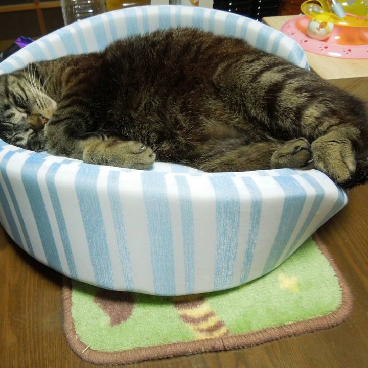 10361b4d 0116 45cb a18f 15ca474057a3