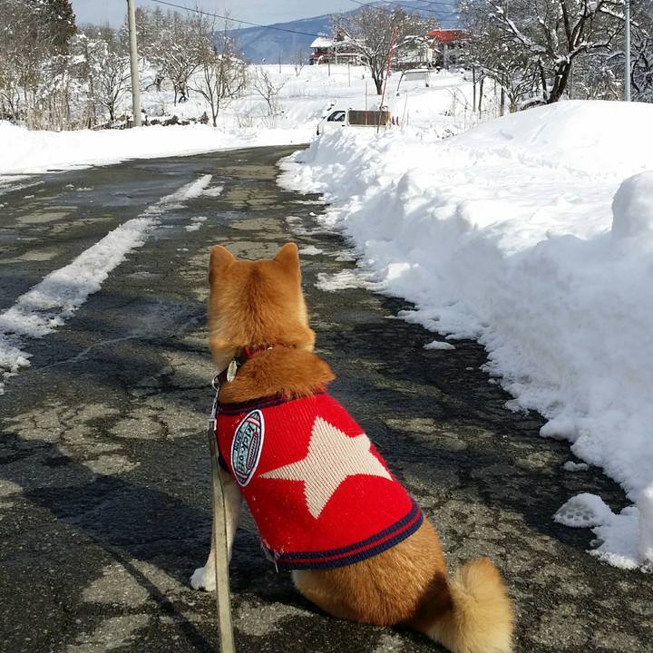 1036b27a 8b1f 44ac 9c40 72f0cf415410