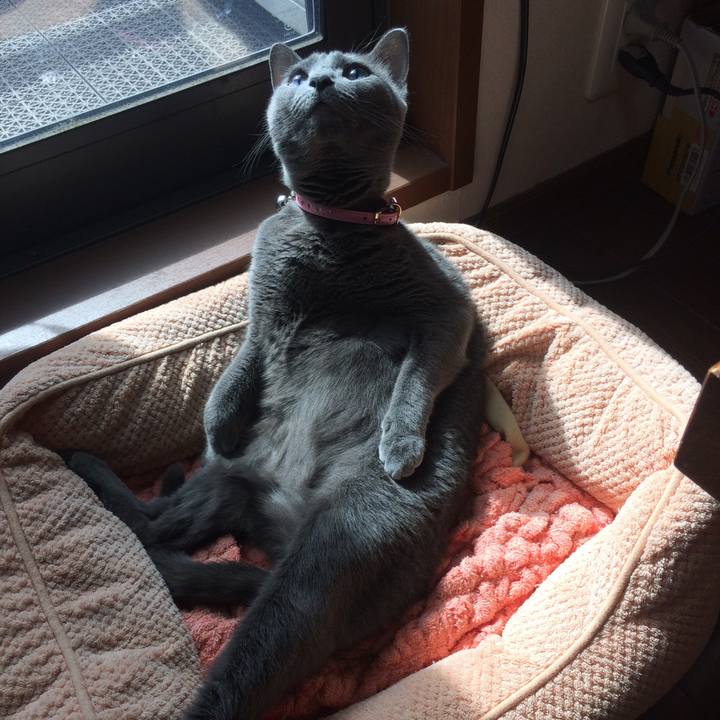 10372581 9227 428f af57 c991da279fe6