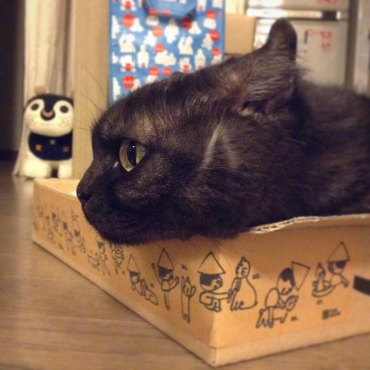 10376b27 1285 492c 89d1 0088118bbc08