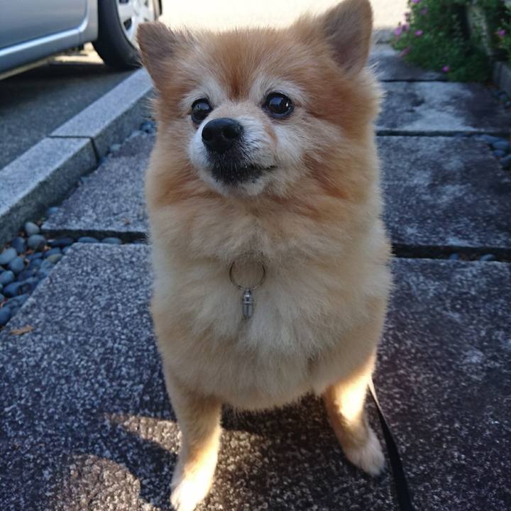 1037f06e c636 407d 9972 d01a0814c33f