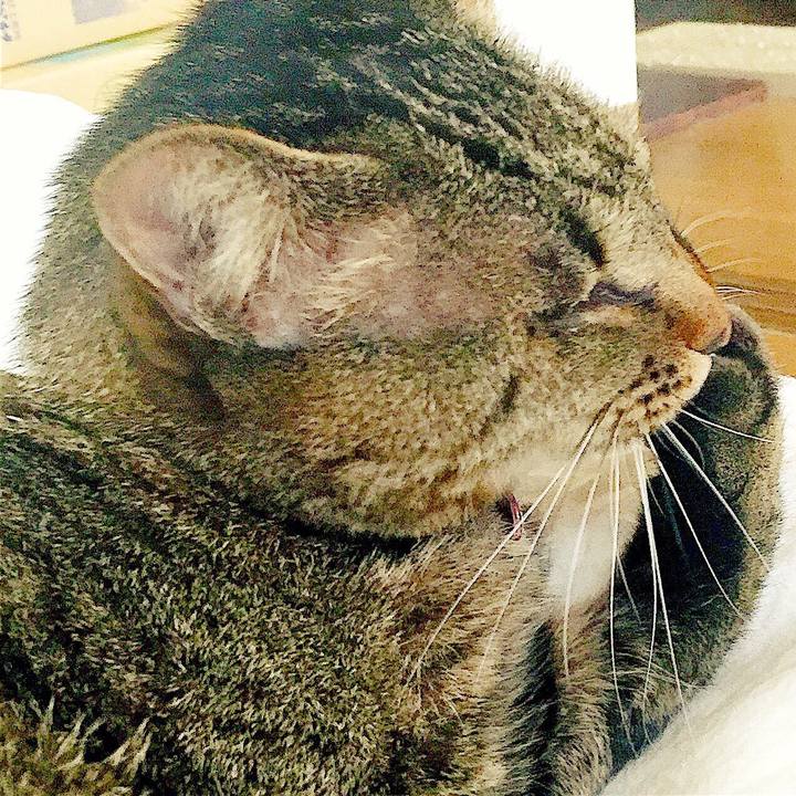 1038b8e5 b7cb 4ea8 bba2 5e09b478ad4d