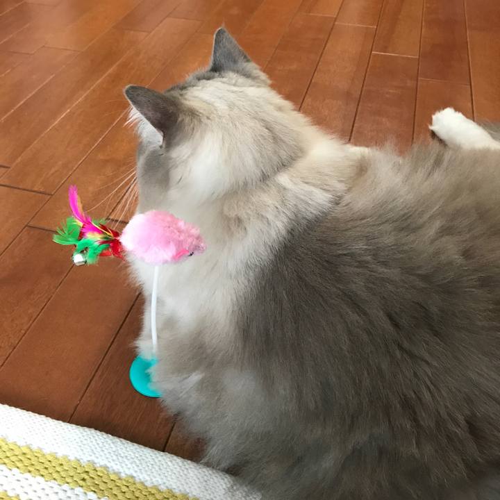 10393f33 a1ad 4b66 88de 478d06efc90a