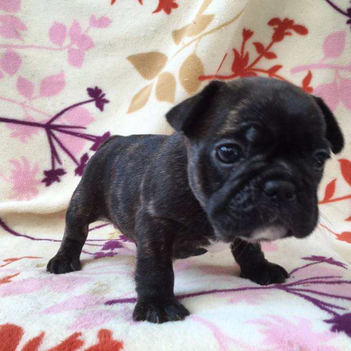 10398874 980a 4de4 9f83 da272382302d