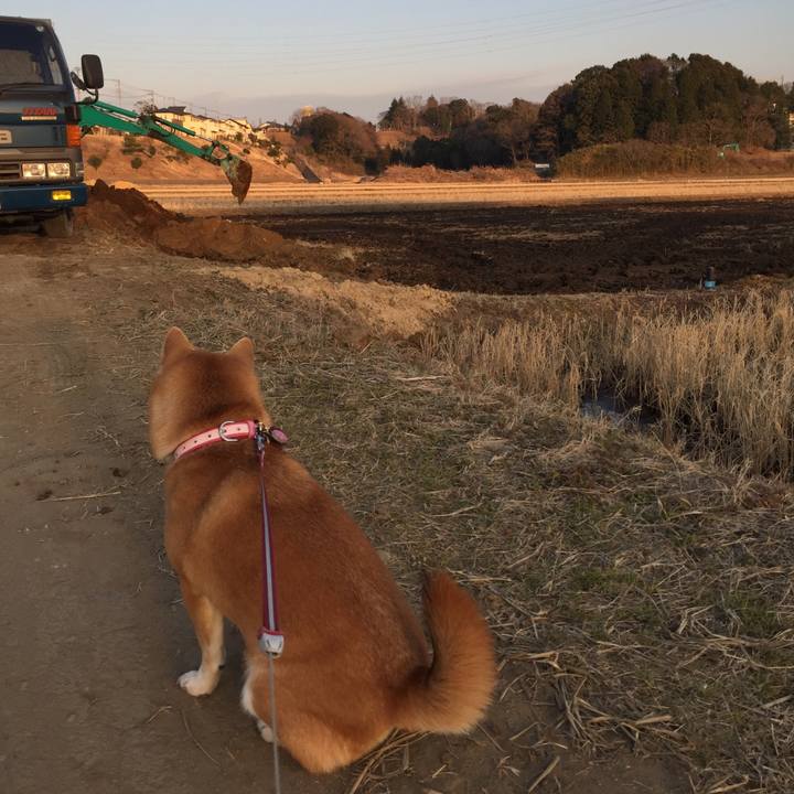 103a9392 7ec0 4d22 a234 c581a1f6687e