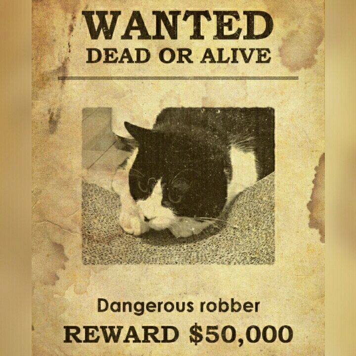 103b0197 c824 442e 931d f3135608b162