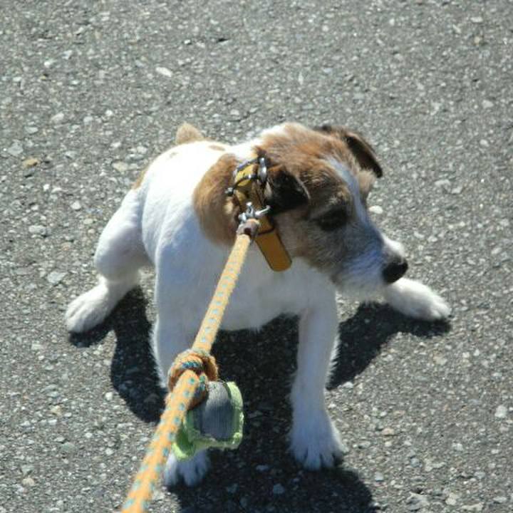 103b1b48 11bd 4821 9eee e20615aaddca