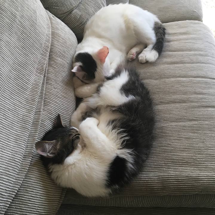 103b29dc 1ae7 4c17 a1cb 7b20916cfea0