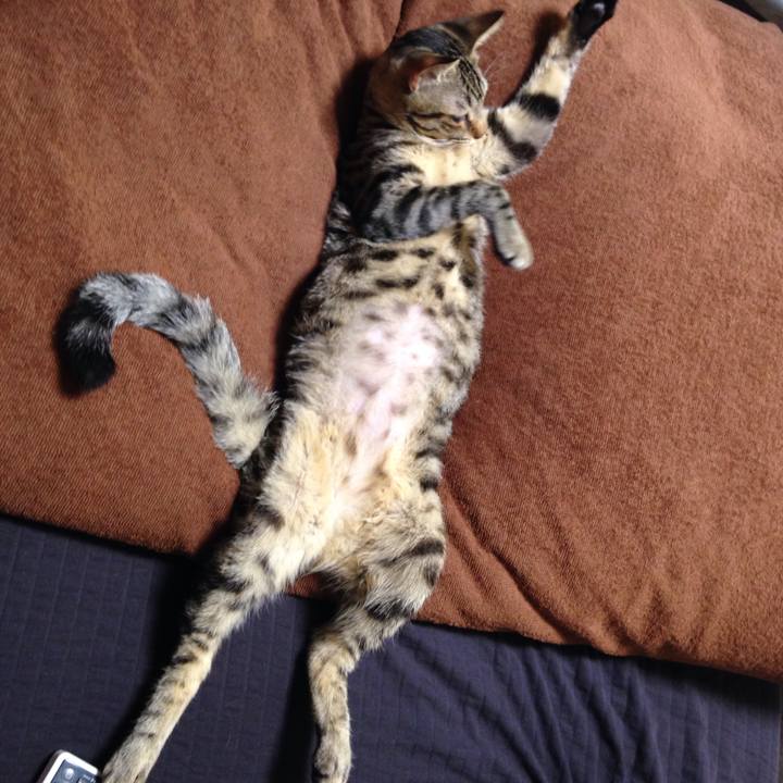 103b6d39 f4fd 44ec aa88 3b731b511978