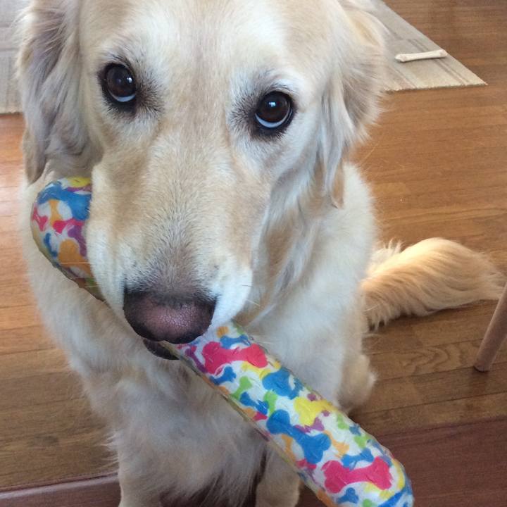 103be0f8 cb60 4fdd 90f0 67893a634957