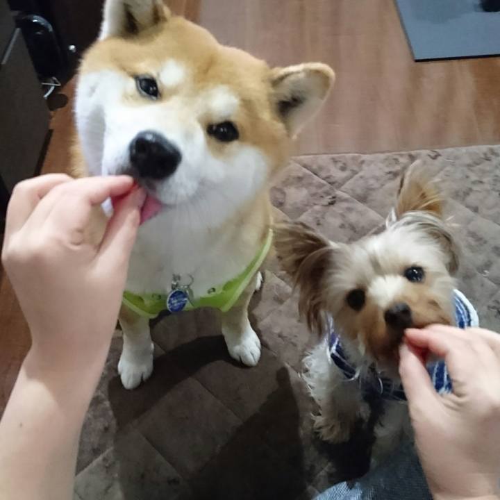 103bf242 5b27 4e0b a773 2c73c72eaffa