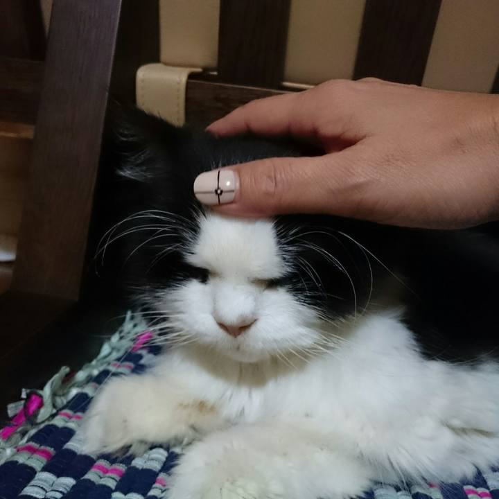 103c8e77 edde 4503 8934 7125dc03f2d8