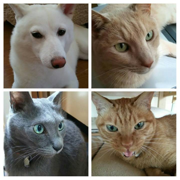 103d7c2f 2de6 4b15 996c 3c288ee00b77