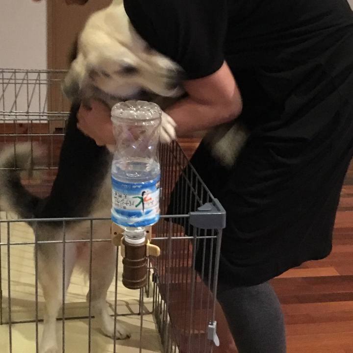 103d7d75 7395 42ac 8e1d b743400ad780