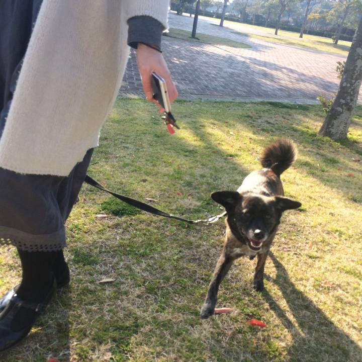 103d8906 533d 414e ac71 86b6aa75cea0