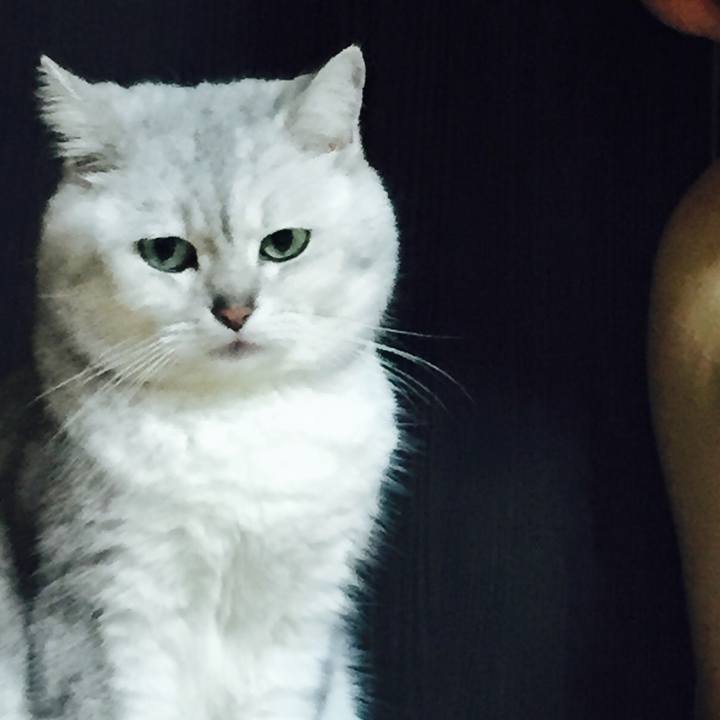 103da541 32c6 4866 81f8 d4aef13dc875