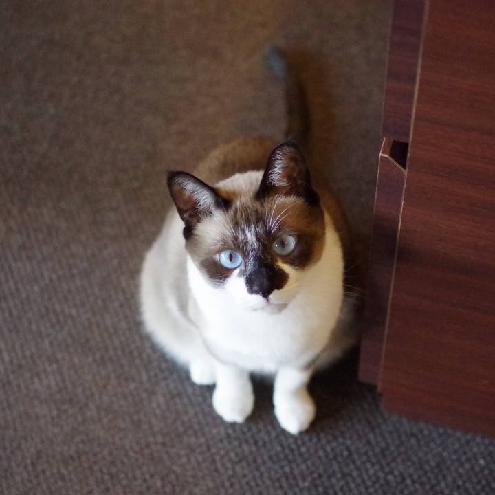 103ddbbf 85ab 4c19 b8b1 30c106d76fa2