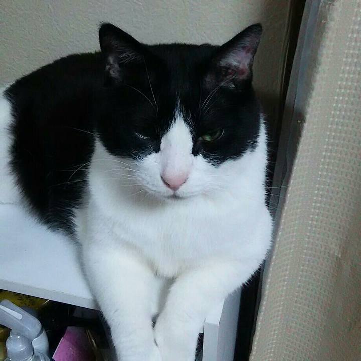 10408ac5 4558 4c2a 8375 d13b56d5e02b