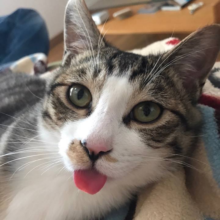 1042081f 2a42 479b 8645 b66340e4cc32