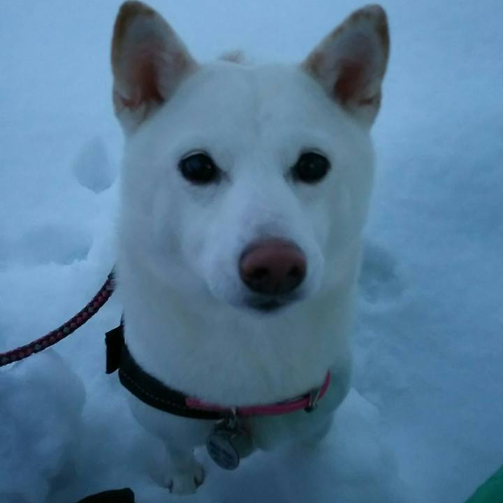 1042725e c32c 4780 aa5e 48e010b3641e