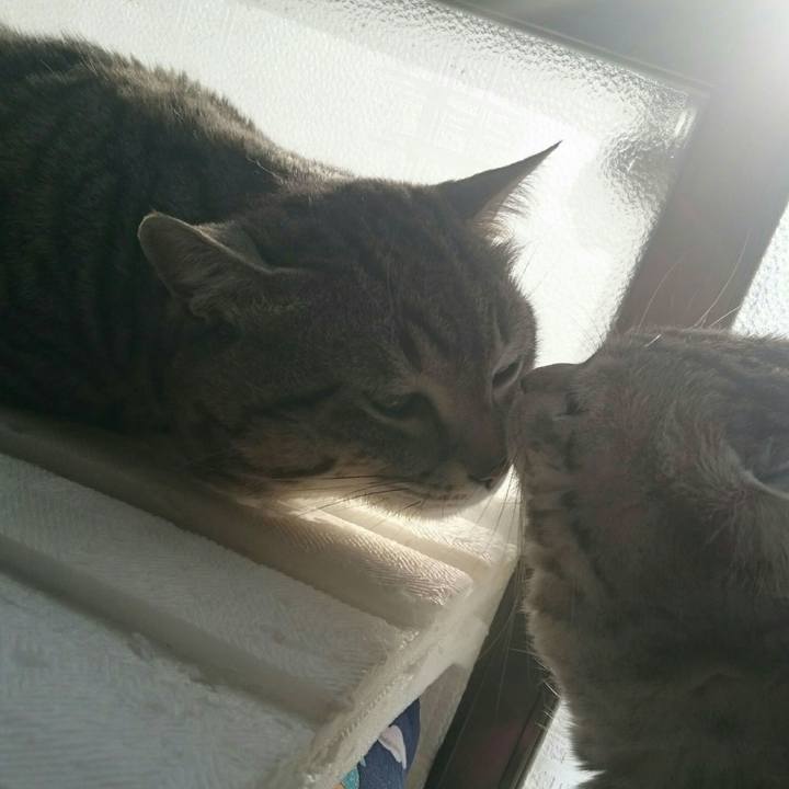 10429e5b df3b 4cbf a0a2 b8b04e826d30