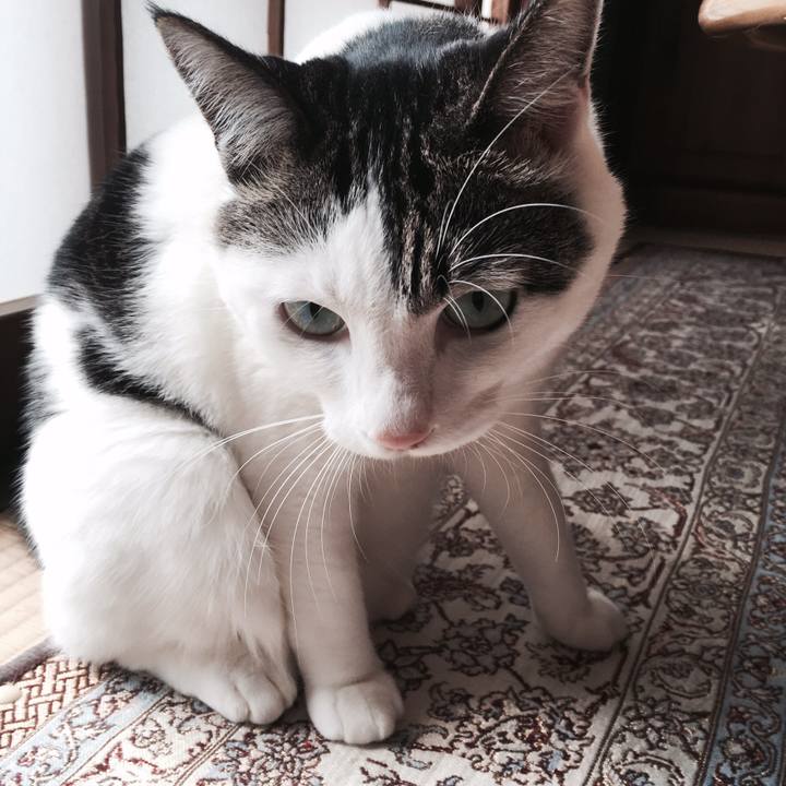 10431d80 bcfd 4b69 b4a4 bb8719695c81