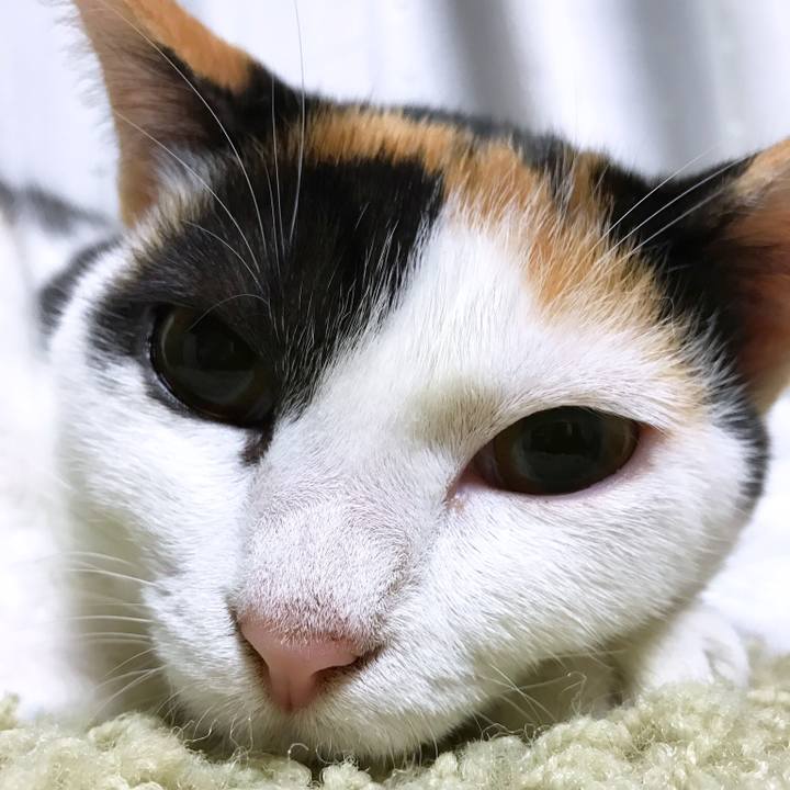 10443ed2 0bcf 4842 8e53 39f4dbc8e862