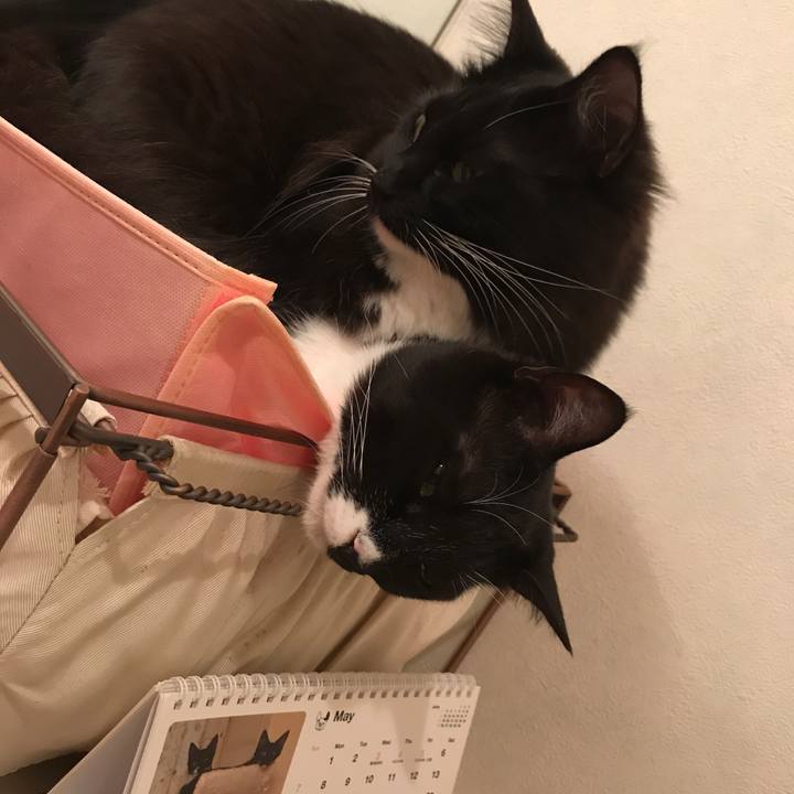 10455011 158e 47dc 991f 58fe622350d6