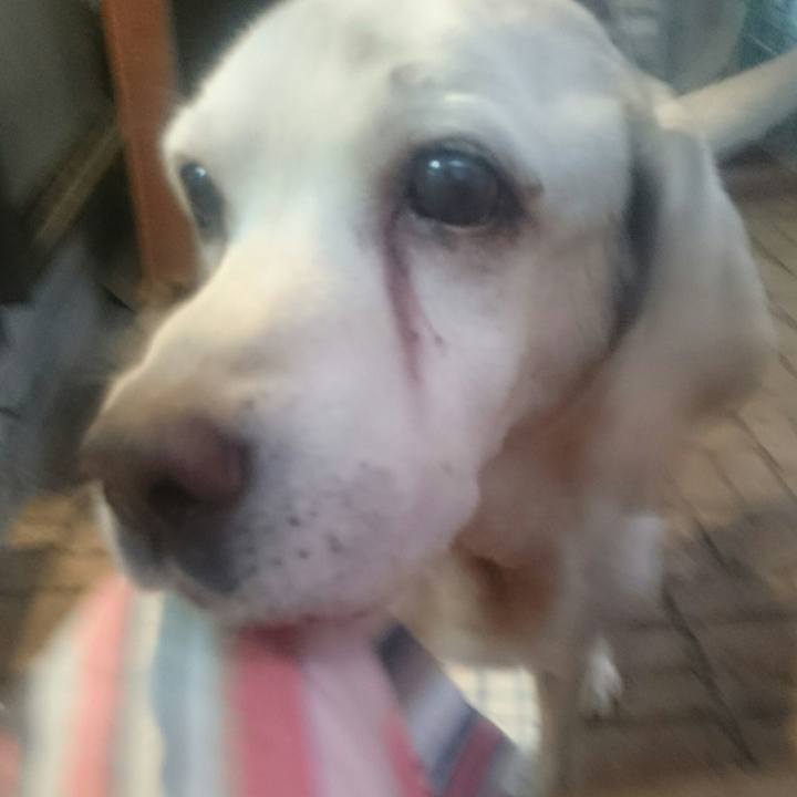 1045a12b 31b6 42c6 92db 34787485c2c2