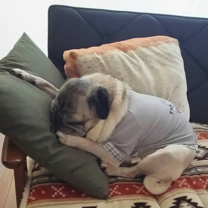 1046c2a4 3aba 4e94 8dff 58623d396c75