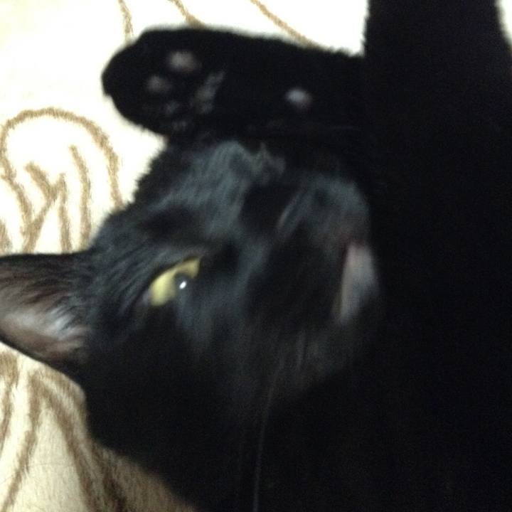 104769fb a2e4 400c 97bd 67d79f38183a