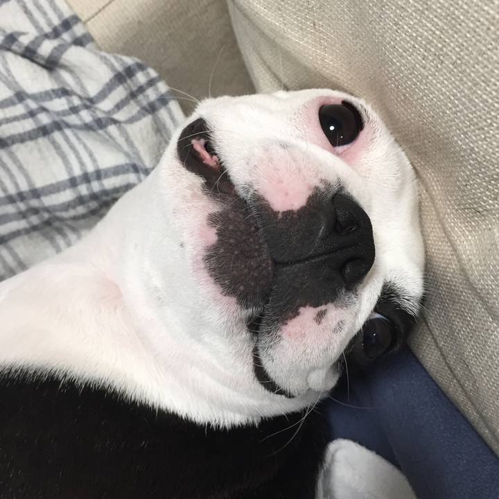 1048279c 695a 492a 9b8a 8b8d46d51ab5